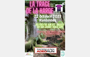 VTT La Trace de la Harde Survilliers (95)