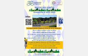 Rallye des forets  (Villepinte 93)