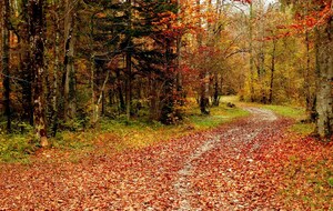 Sortie VTT Ermenonville